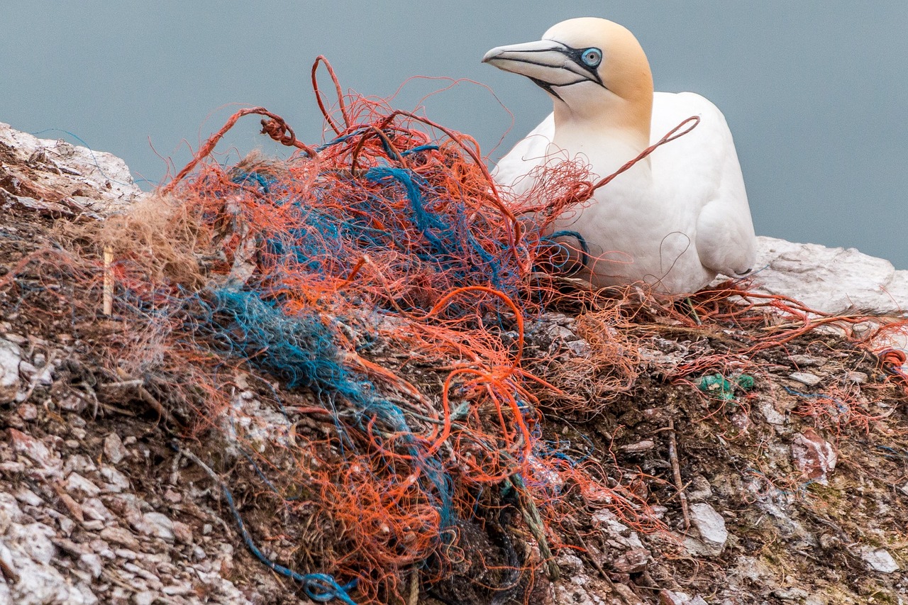 les différents types de plastique